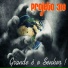PROJETO 318
