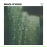 Rain Sounds