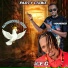 ICE G, mandred, saferrecord crew