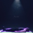 Avel