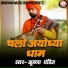 Krishna Pandit