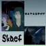 Skaef