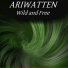 Ariwatten