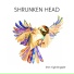 Shrunken Head