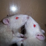 RATOX feat. klevergo1ard