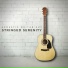 Acoustic Guitar Guy