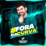 Pedrinho Pegação