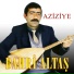 Bahri Altaş