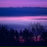 Sleeping Eye, Slower Lover, Soothing Buzz