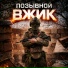 ВЖИК