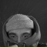 Недругъ