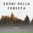 Foresta Incantata