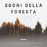 Foresta Incantata