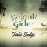 Selçuk Gider
