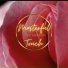 MasterFul Touch