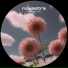 novastra