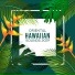 Hawaii Chillout Music