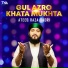 Ateeq Raza Qadri