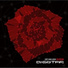 BIGSTAR