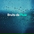 Bruits de Pluie
