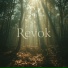 Revok