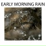 Rain & Thunder