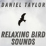 Daniel Taylor
