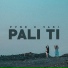 Pvne
