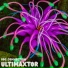 Ultimaxtor