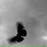 MECHXNISM
