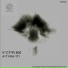Vector 808