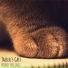 Talila's Cats