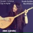 Zinê (Şevin)