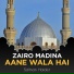 Salman Haider