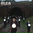 The Plea