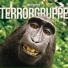 Terrorgruppe