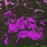 Skwint feat. Akuira