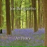 Joe Bongiorno - At Peace (2000)