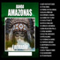 BANDA AMAZONAS