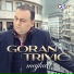 Goran Trivić