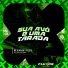 MC Vuk vuk, Pileto, DJ Santos MEC