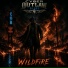 Cyber Outlaw Blues