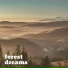 Forest Dreams