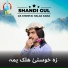 Shandi Gul