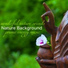 Art of Peace & Zen Nadir