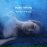 Audio Infinity