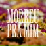 Caio Marques feat. Halanna Aguiar, Igor Lazier
