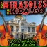 Los Mirasoles De Hidalgo