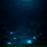 Elaris