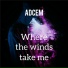 ADCEM